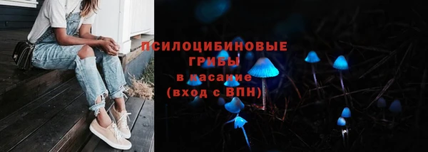 дурь Белокуриха